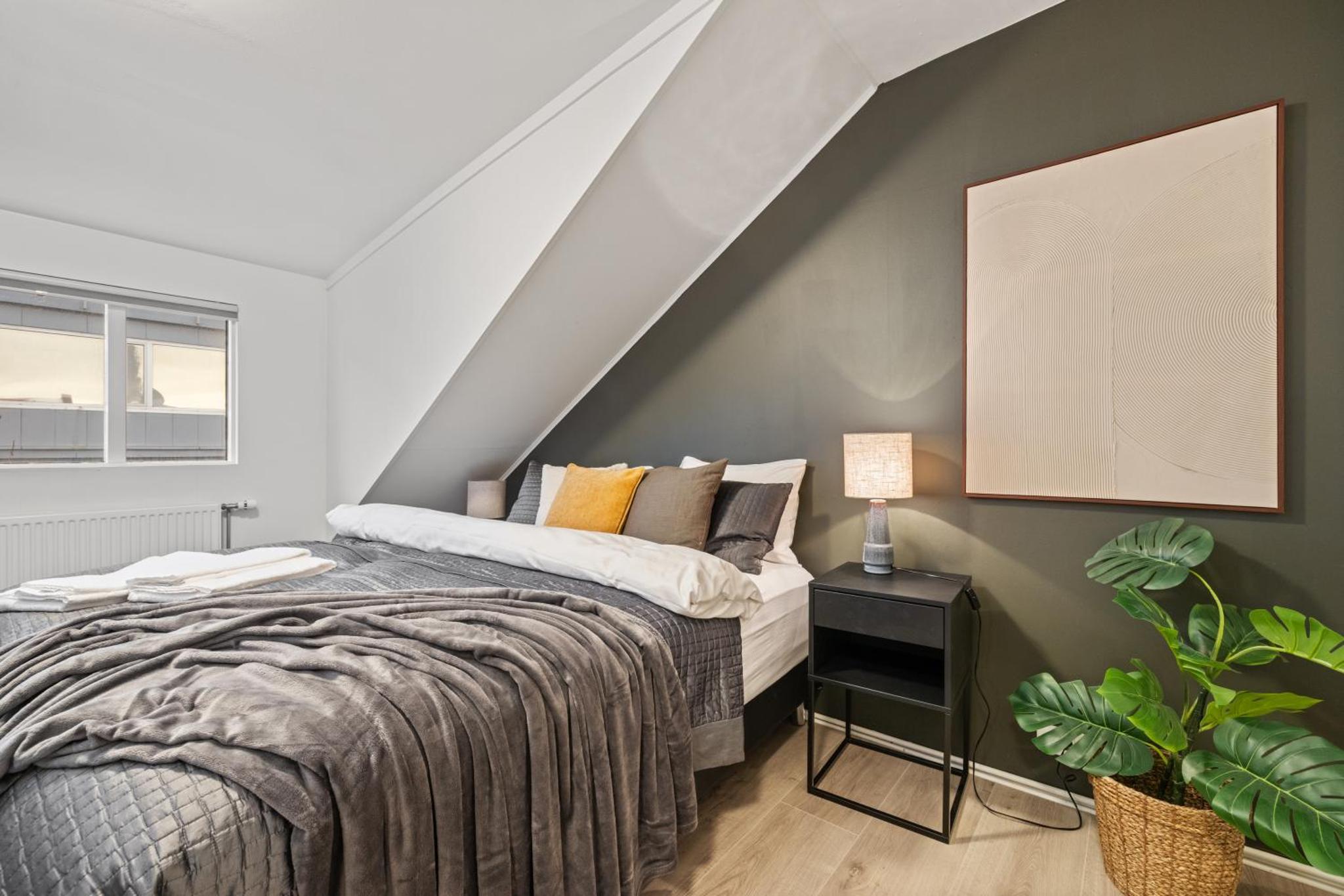 Best Possible Location-Laugavegur Luxury Loft