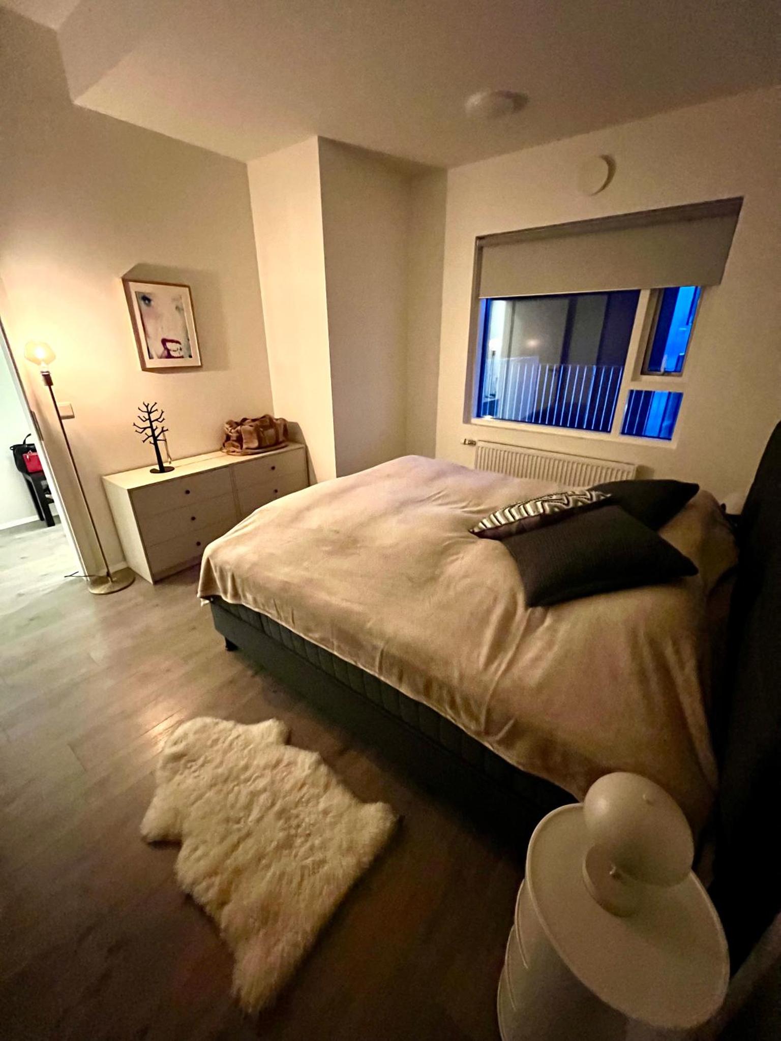 Modern Luxury Apartment Downtown