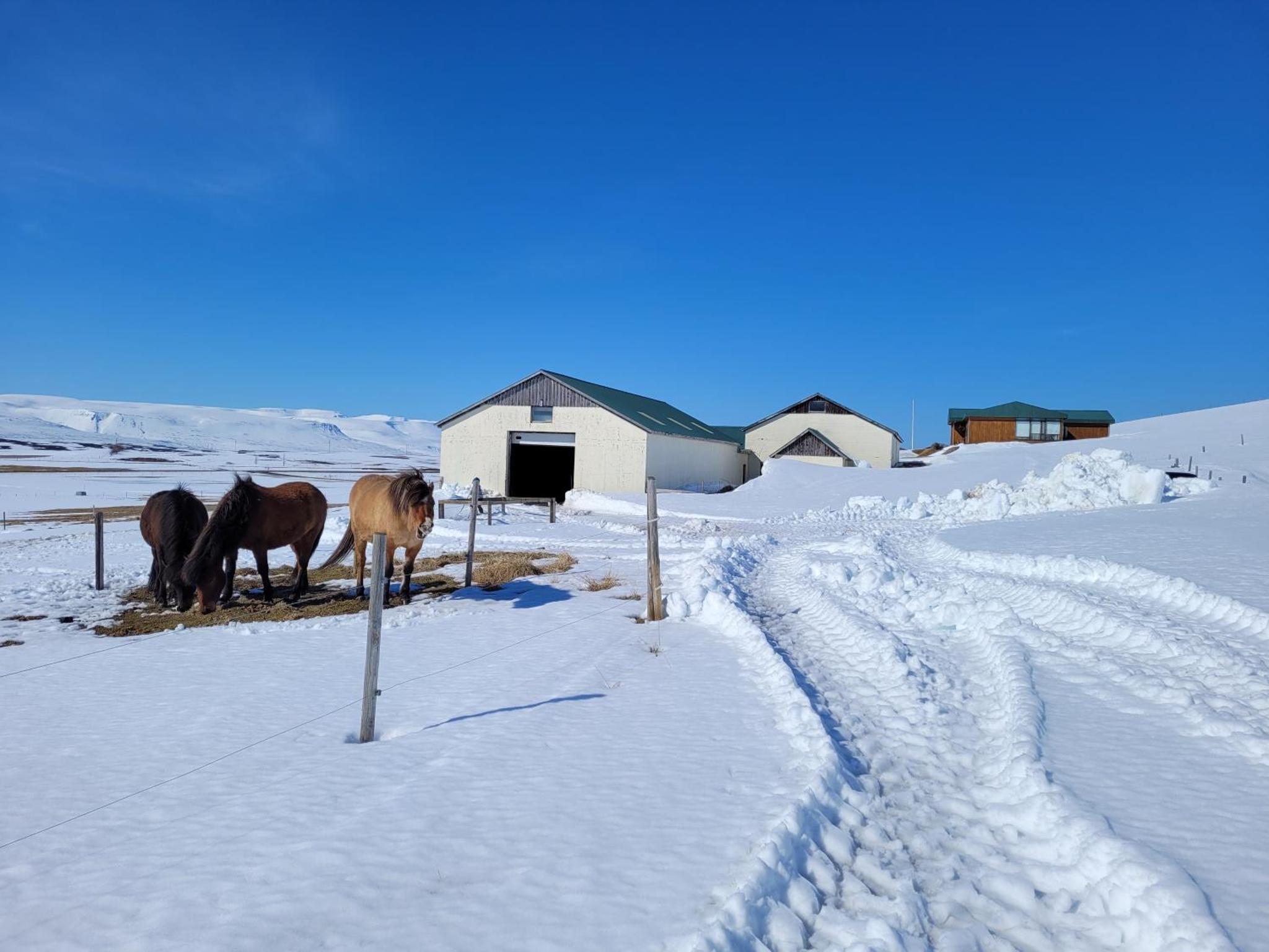 Guesthouse Klambrasel