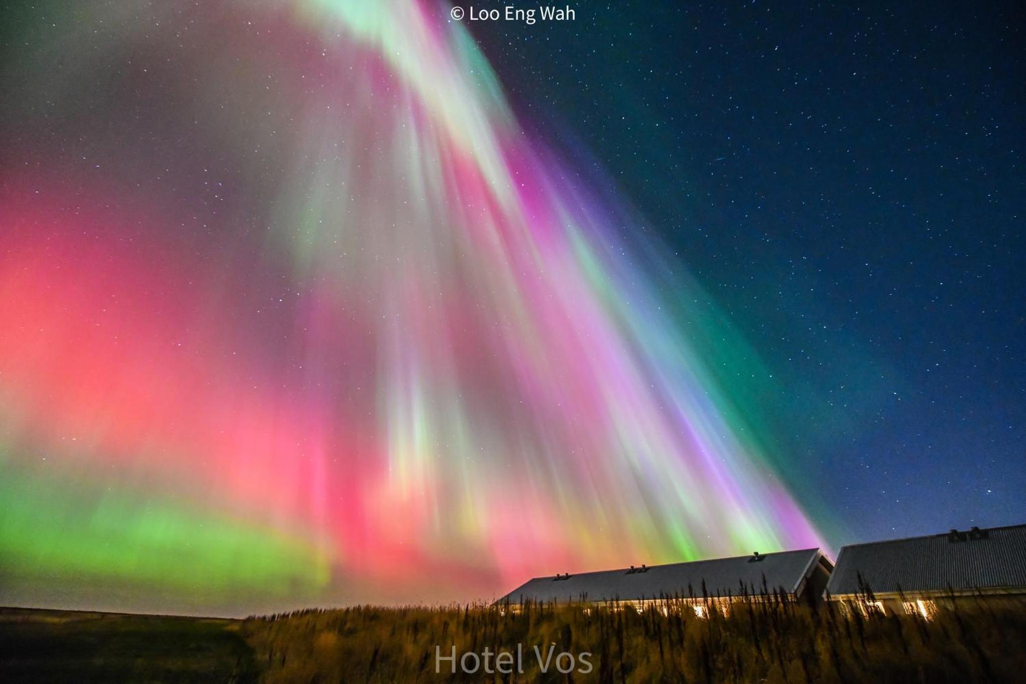 호텔 보스 | Hotel Vos