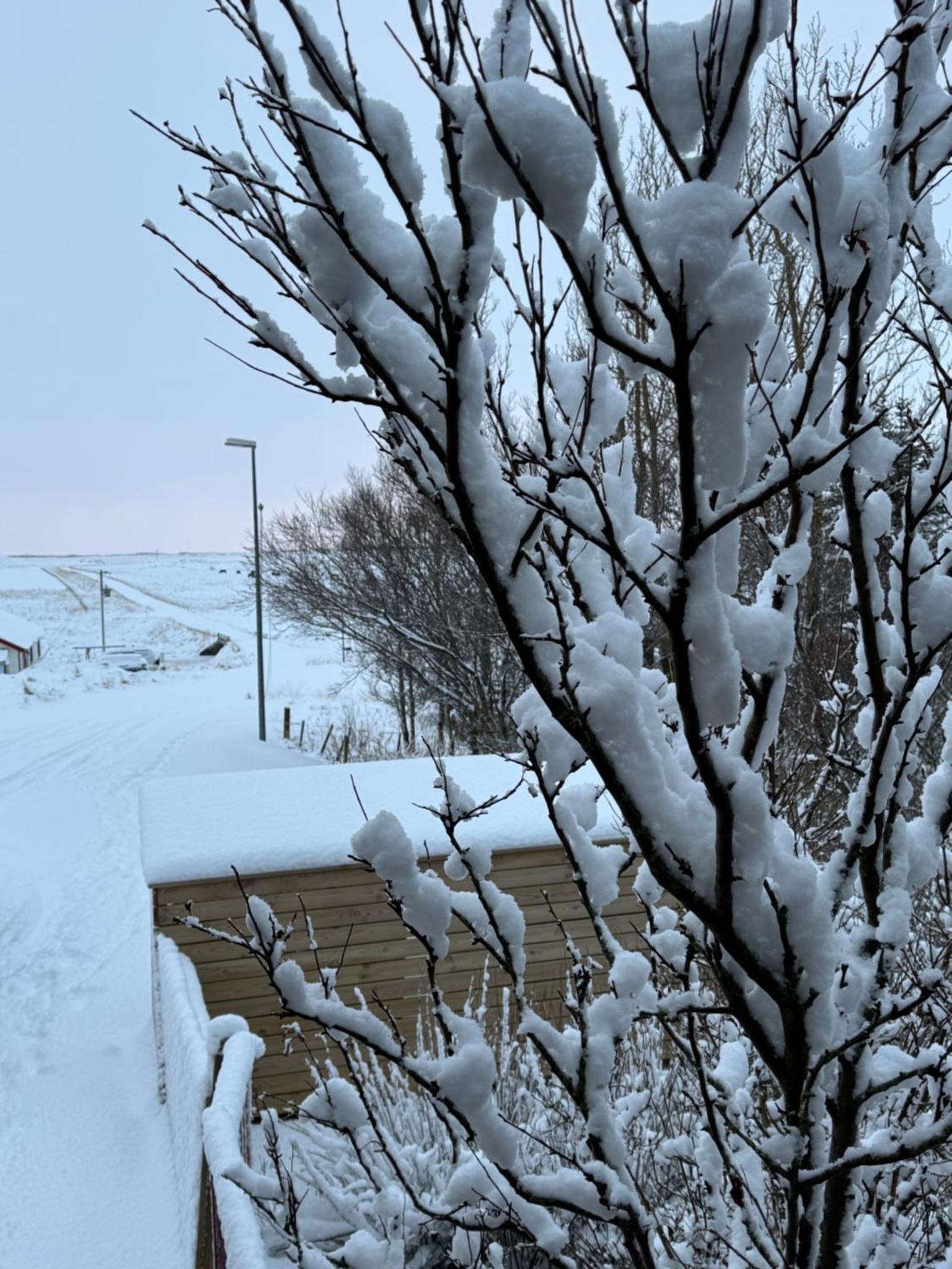 Álftartunga Farm Guesthouse