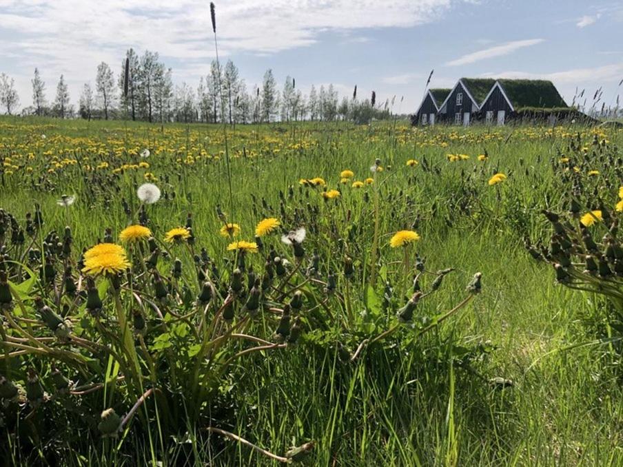 Bungalows Efri-Vík
