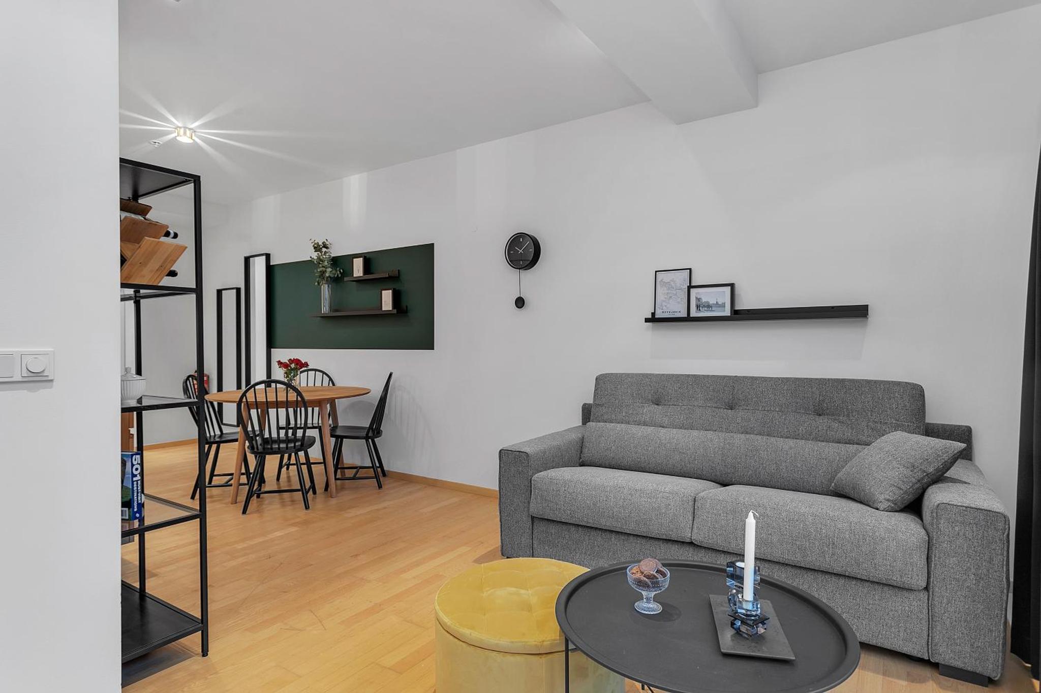 雷克雅未克市中心现代一卧室公寓（Centrally Located Modern 1BR Apartment Reykjavik）