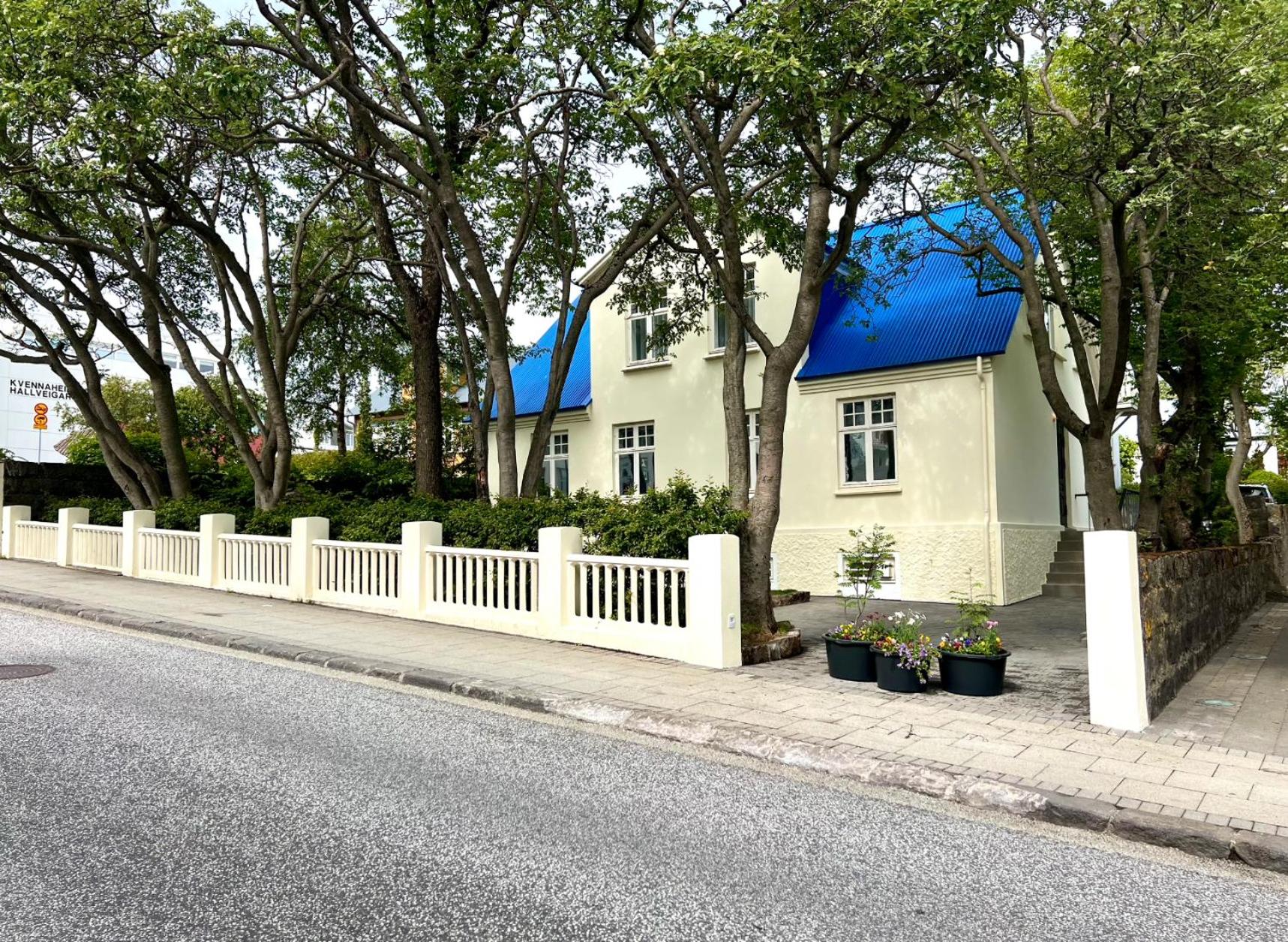 雷克雅未克市中心豪华别墅（Luxury Villa in Downtown Reykjavik）