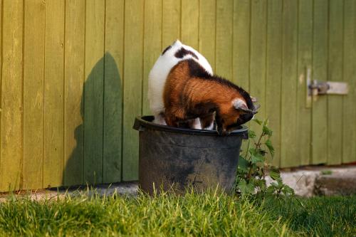 Towerview Bed & Breakfast