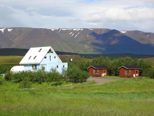 Petursborg