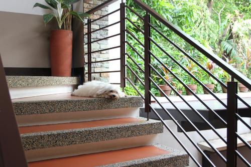 New Manila Suites