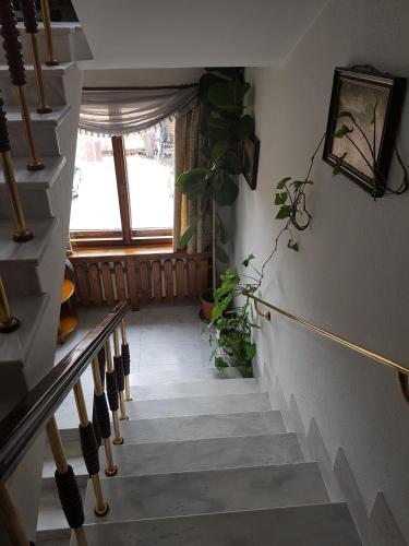 Hotel Mishel