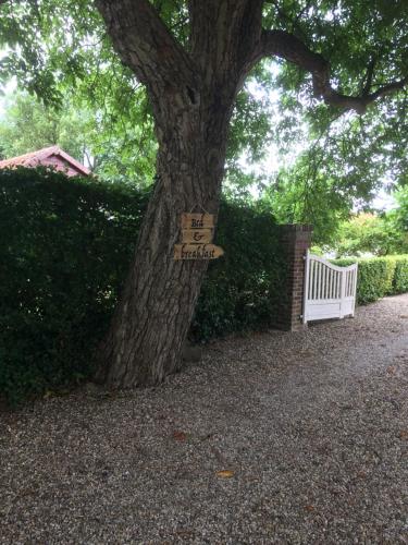 Bed & Breakfast Ool Inclusive