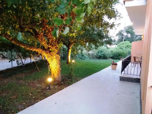 Hotel Yannis Corfu