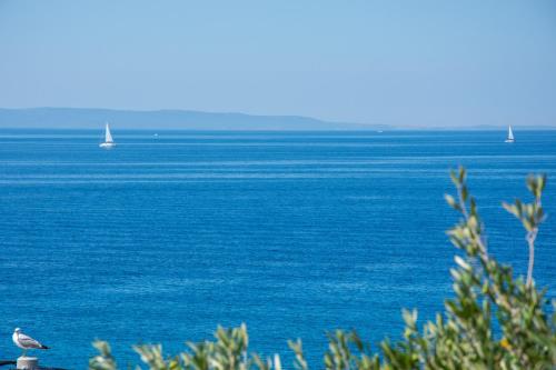 Villa Mediteran