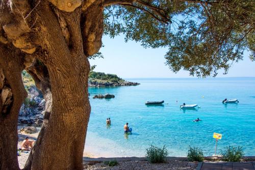 Villa Mediteran