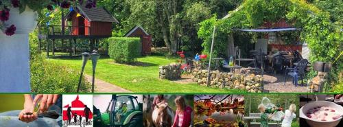 Stutteri Skandi Hest