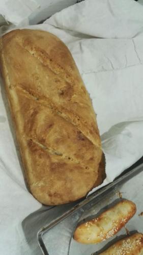 Guest House Lugarnica