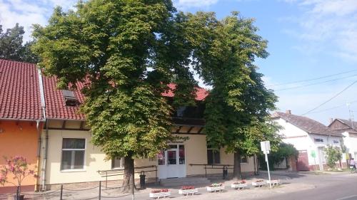 Vadgesztenye Youth Hostel