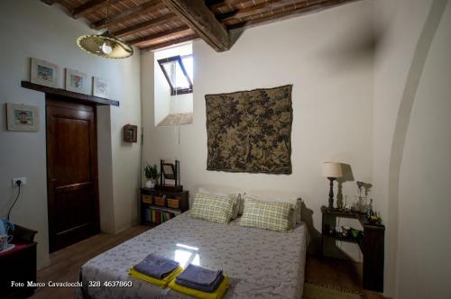 Bed and Breakfast Il Bosso Di Toscana