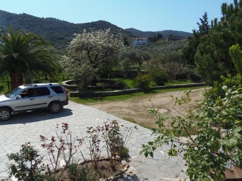 Sartivista