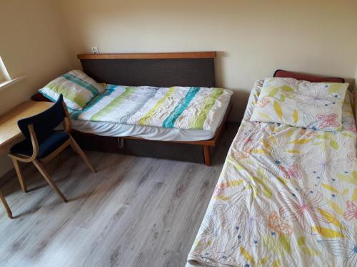 Hostel Palacyk