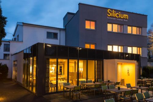 Silicium