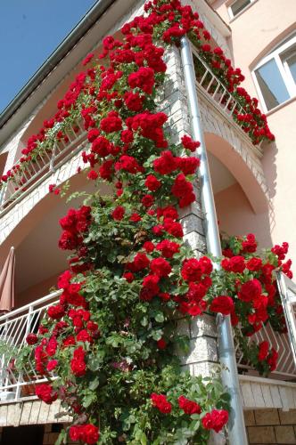 House Maric