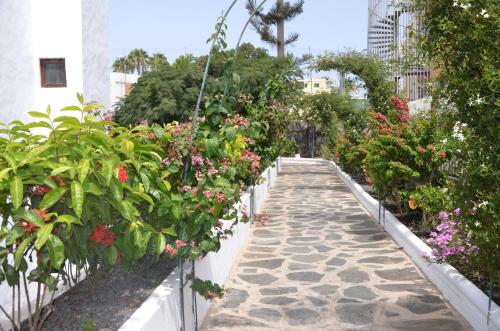 Alsol Las Orquídeas