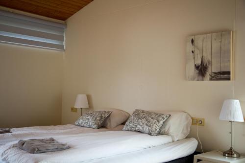 South Central Guesthouse