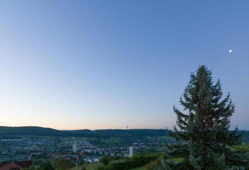 Maien Hotel-Restaurant