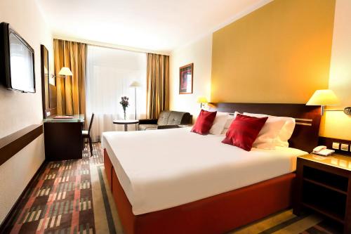 Hotel International Brno