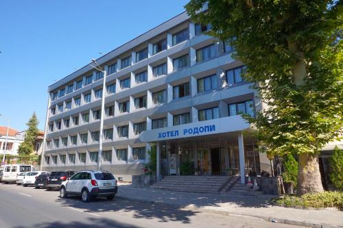 Rodopi