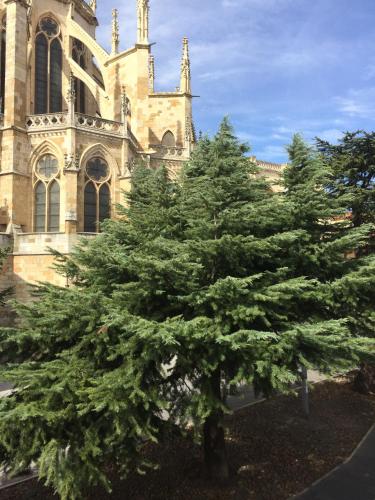 Suites Catedral De Leon