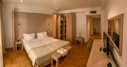 Satu Mare City Hotel