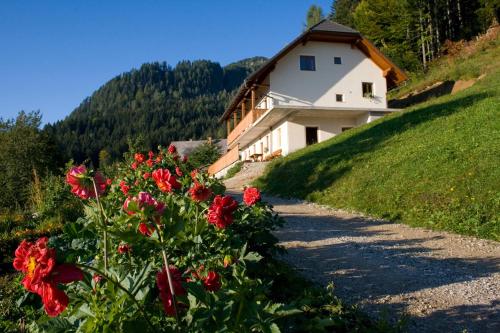 Turisticna Kmetija Perk