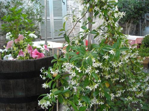 Theano Guesthouse