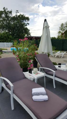 Au Berceau Du Loup Agile