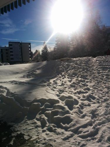 Serreche Holidays