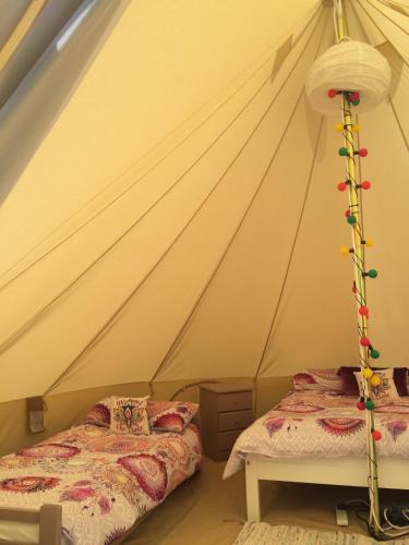 Cong Glamping