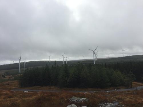 Carrowntober House B&B