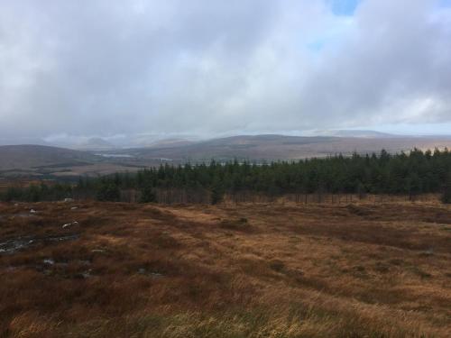 Carrowntober House B&B