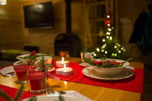 Domki KOLONIA LEŚNA z sauną i gorącą balią