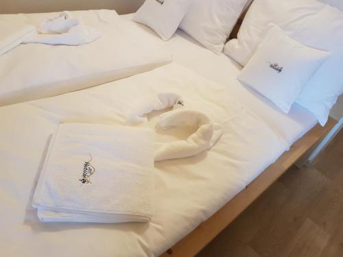 Wellness Rodinny Hotel U Langru