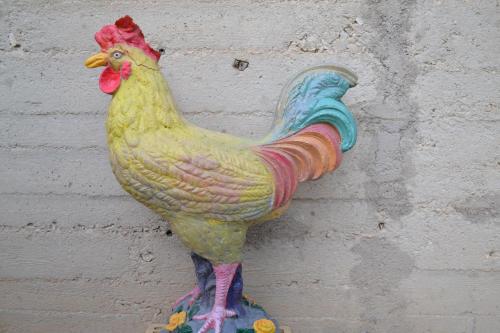Il Giardino Del Gallo