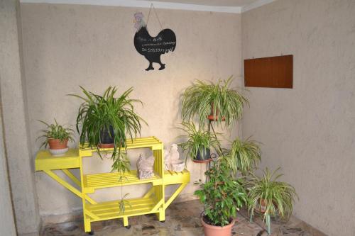 Il Giardino Del Gallo