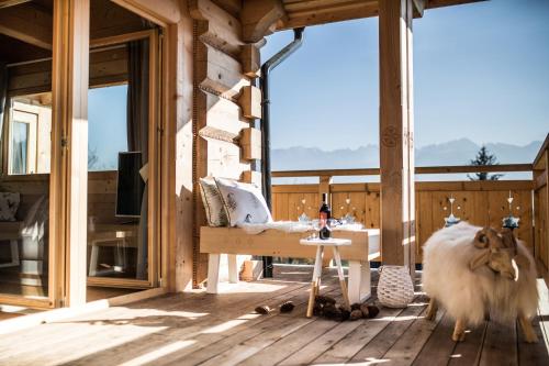 Osada Domkow Tatra Dream