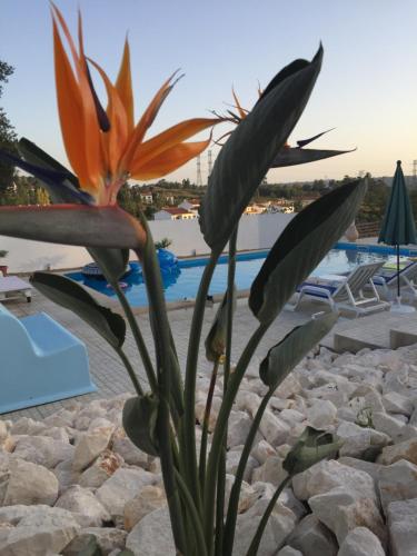 Casa Do Loureiro Branco