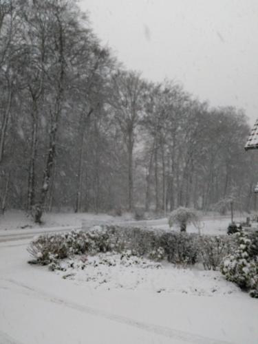 Anna's B&B Rijssen
