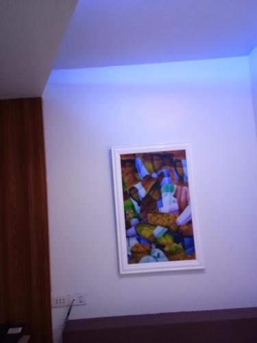 Anthurium Inn