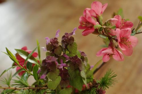 Stützpunkt Trebitz - Gästezimmer am Europaradweg R1
