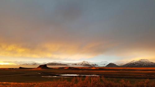 Nýpugarðar