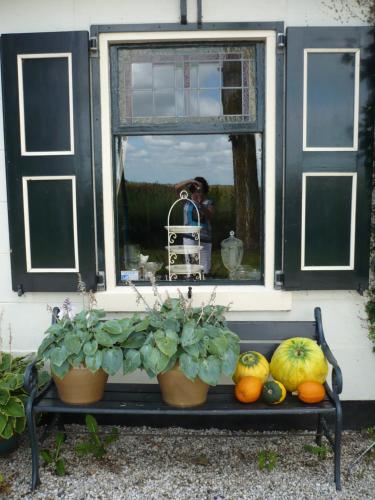 Shepherd´s House