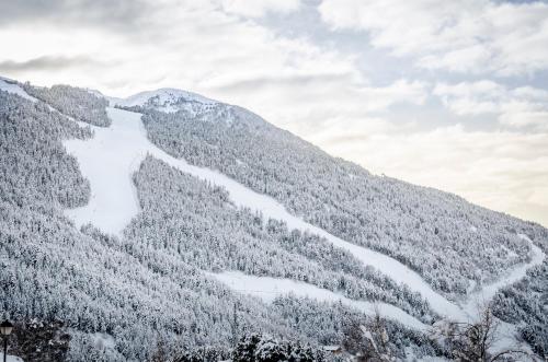 Apartamentos Prat de les Molleres